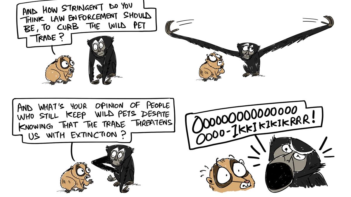 Green Humour by Rohan Chakravarty on illegal wildlife pet trade